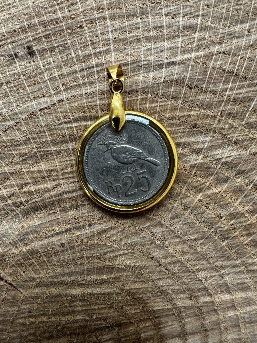 1971 Indonesian 25 Rupiah Crowned Pigeon Coin Resin Pendant